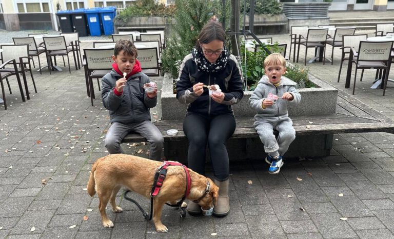 Warum dein Hund dein bester Erziehungs-Coach ist (ohne es zu wissen)